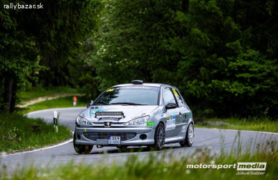Peugeot 206 GTI F2000