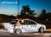Peugeot 206 GTI F2000