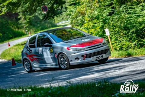 Peugeot 206 GT 2.0 | Slalom