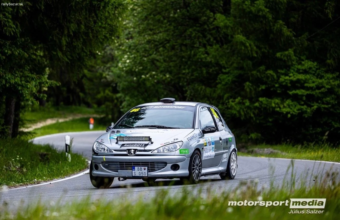 Peugeot 206 GTI F2000